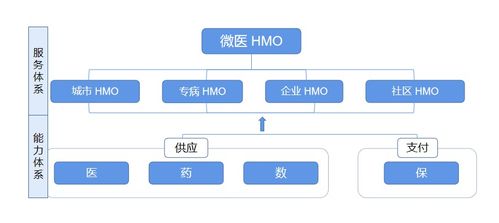 微医VS联合健康,数字化加持, 中国式HMO 市场如何突破